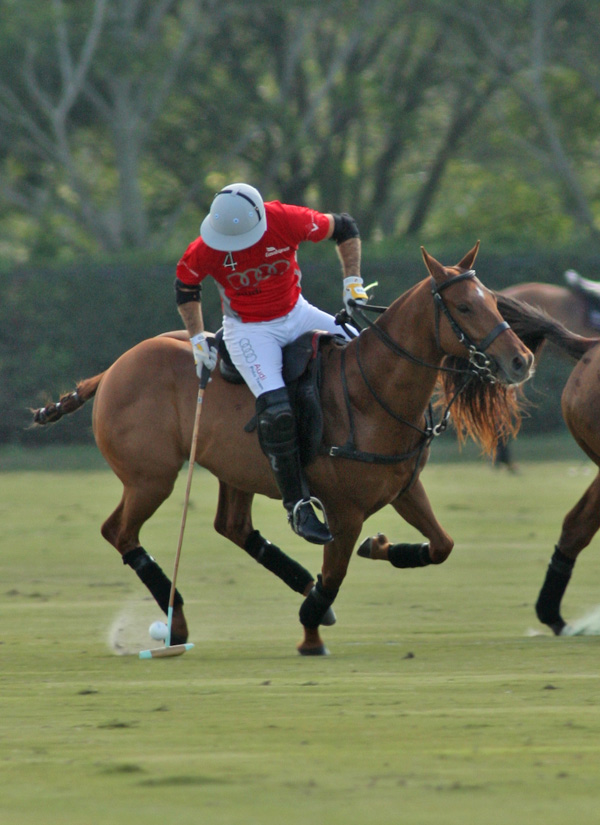 polomagazinepachecoPhotos-Bobby Barry Cup Orchard Hill Audipoloteam 7