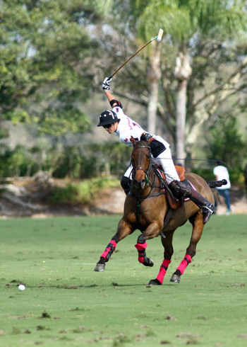 the POLO Magazine polo photos Alex Pacheco 2013 1
