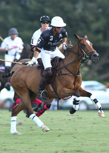 the POLO Magazine polo photos Alex Pacheco 2013 3