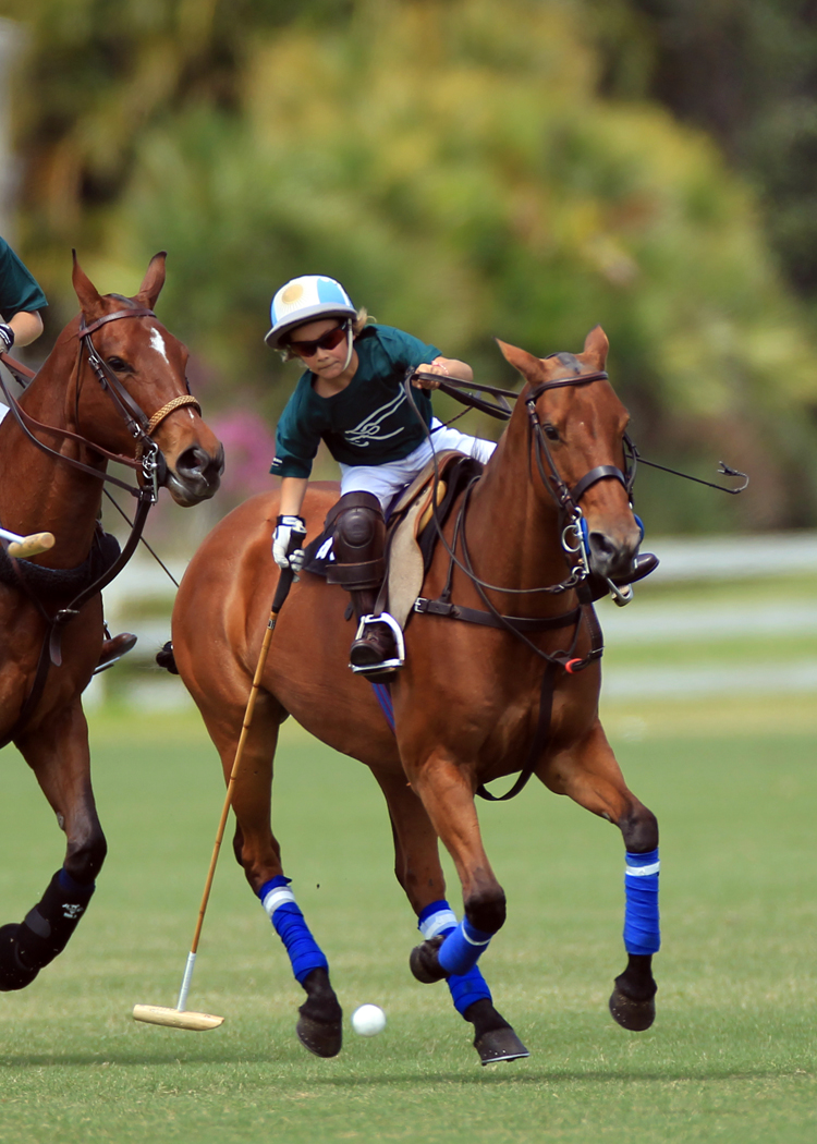 poloclub polo magazine buzwelkergrandchampions2013phelps3