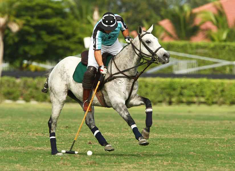 PhotosPachecopolotournamentpolomagazinePalm Restaurant Invitational Subsidiary Grand Champions  Berlin Polo  2
