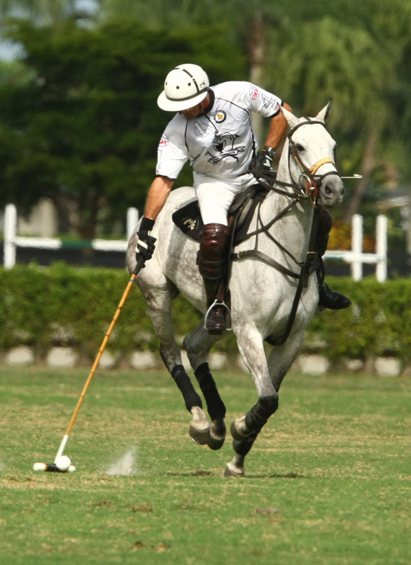 PhotosPachecopolotournamentpolomagazinePalm Restaurant Invitational Subsidiary Grand Champions  Berlin Polo  4