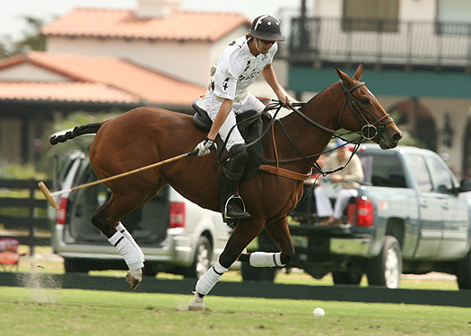 butlerhandicap polo tournament magazine the 3