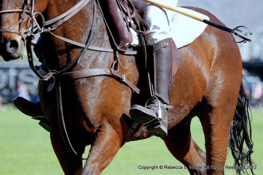 1-IMG 9060 POLO Magazine Scottsdale RLW