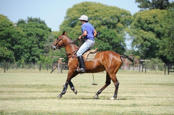 Stick  ball at El Solar