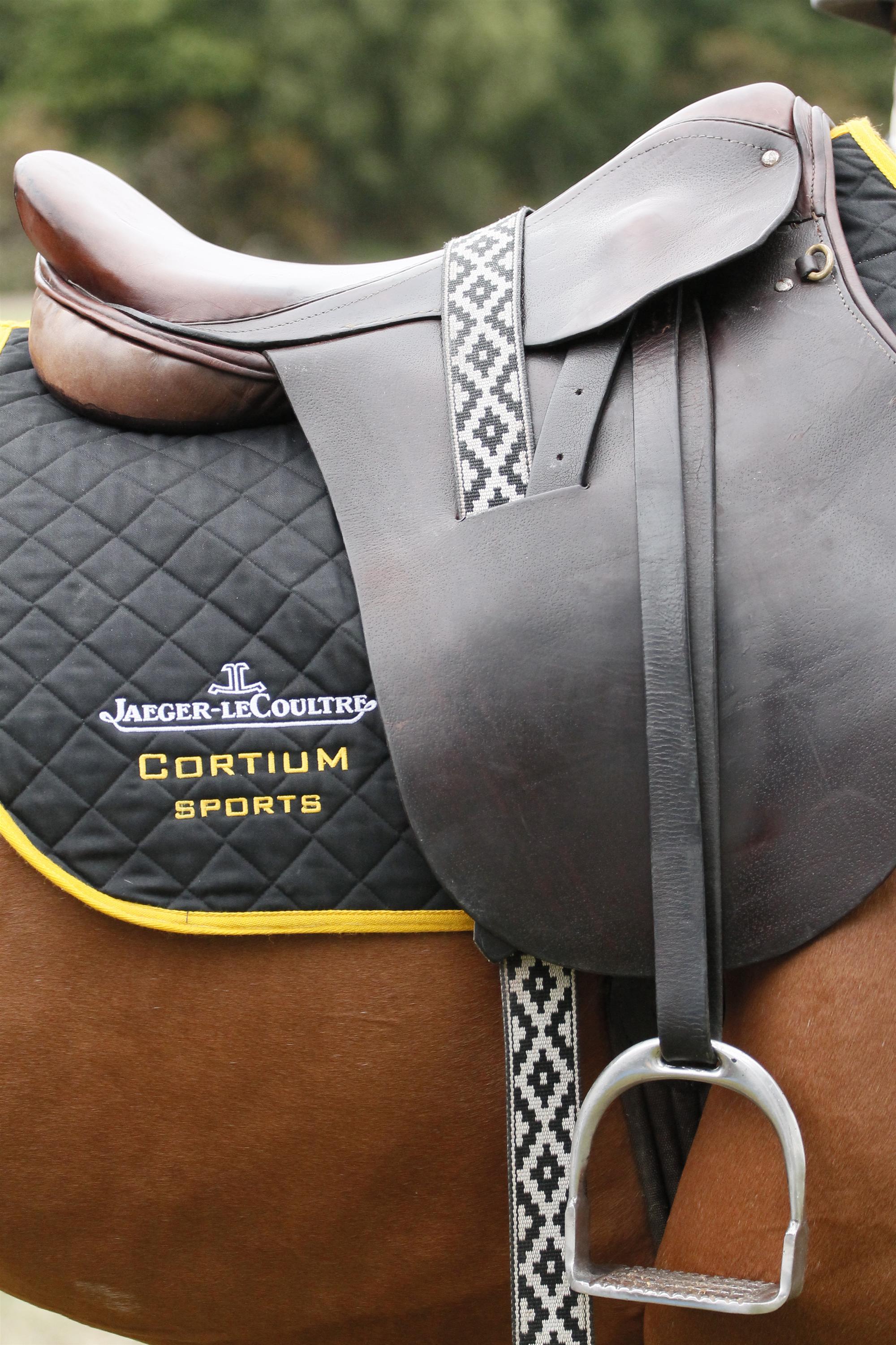 cortium polo team queens cup polo magazine celine genonceau polo club photos tournament 1