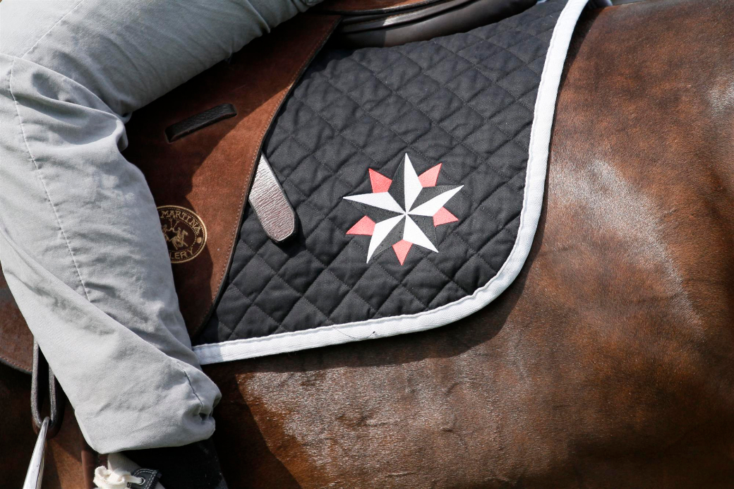 polo tournament queens cup 2013 uk polo celine genonceau polo photograph 2